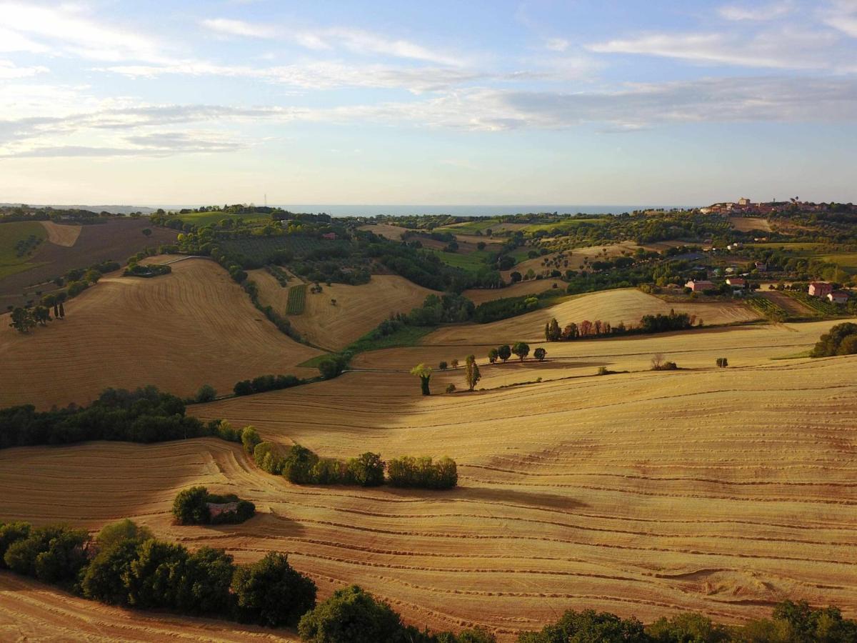 La Meriggia Agriturismo- Ampio Appartamento Con Terrazza Esclusiva Анкона Екстериор снимка