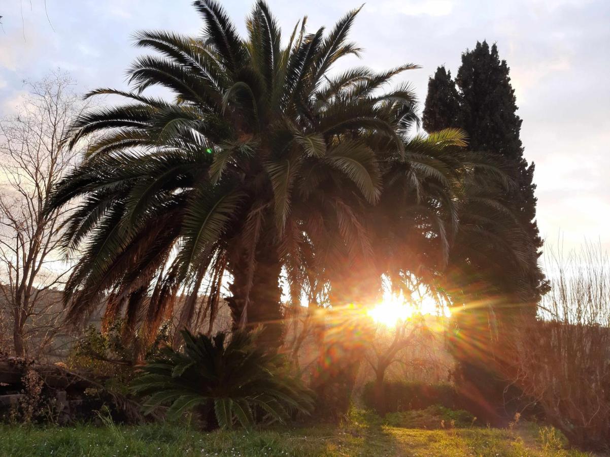 La Meriggia Agriturismo- Ampio Appartamento Con Terrazza Esclusiva Анкона Екстериор снимка