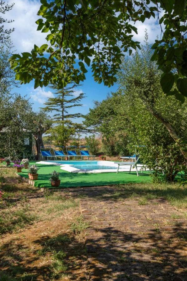 La Meriggia Agriturismo- Ampio Appartamento Con Terrazza Esclusiva Анкона Екстериор снимка