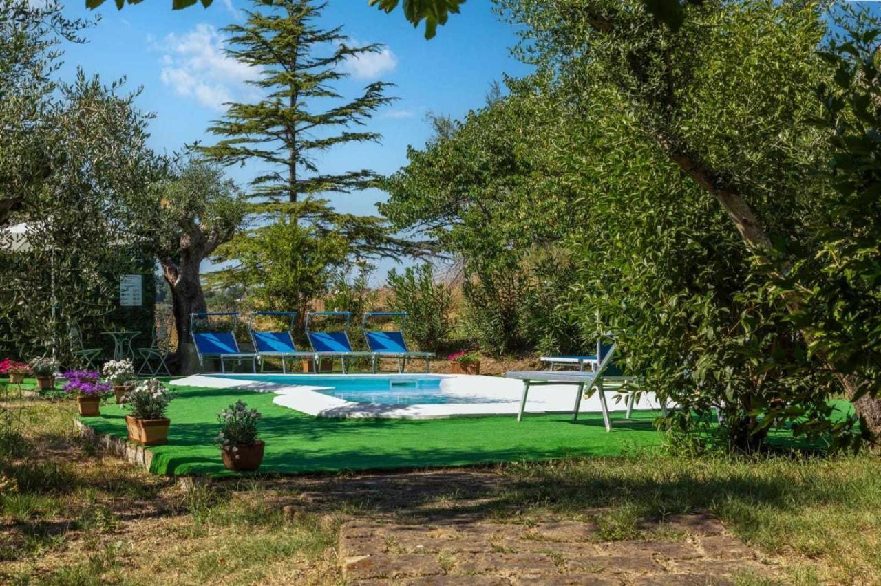 La Meriggia Agriturismo- Ampio Appartamento Con Terrazza Esclusiva Анкона Екстериор снимка